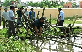 Thanh Hà tập huấn cắm cừ đào mò, phòng chống thiên tai